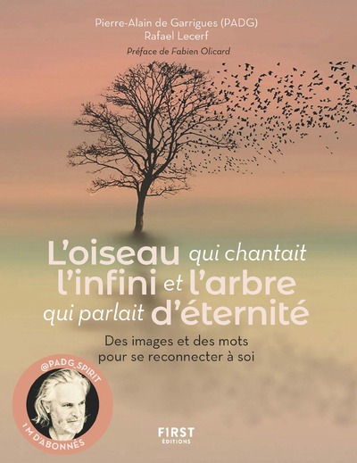 Couverture du livre "L'oiseau qui chantait l'infini et l'arbre qui parlait d'éternité" représentant un arbre dont les branches sur notre droite se confonde avec une nuée d'oiseaux.